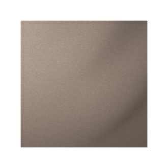 E010
