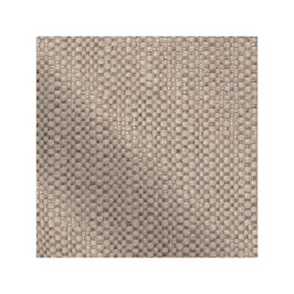 C010
